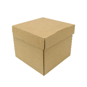 Burger box, Menubox