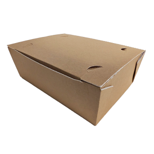 Taste Lite - Food to go Box, large no window (1000ml)